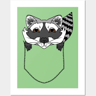 Cute Raccoon in the Pocket Posters and Art